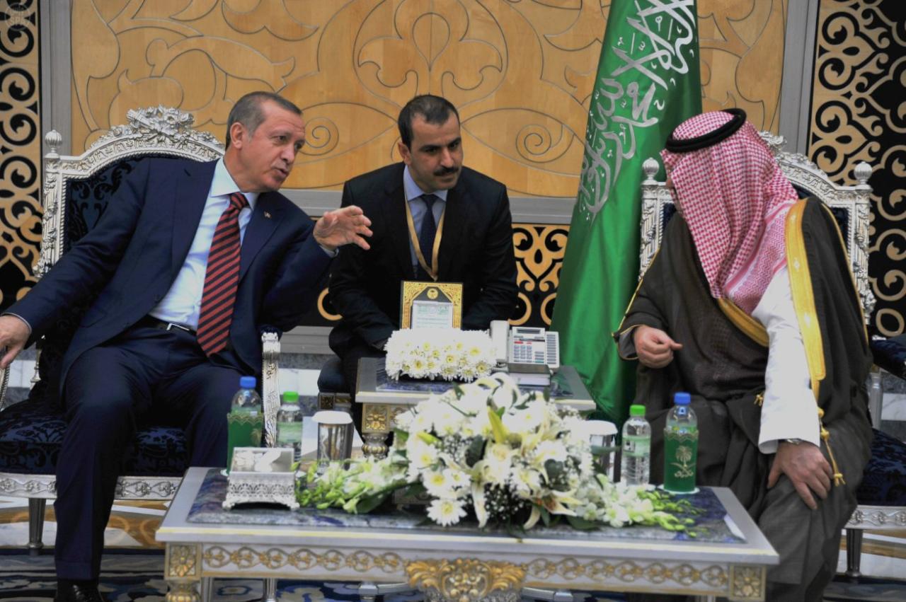 سلمان و أردوغان يتفقان على : الهجمات الروسية على سوريا مثيرة للقلق