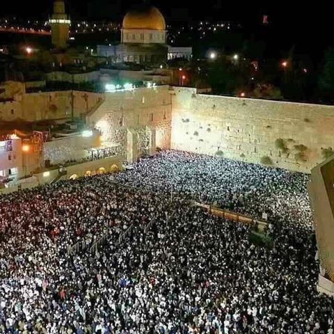 لإحياء "عيد الغفران".. آلاف المستوطنين يحتشدون عند حائط البراق