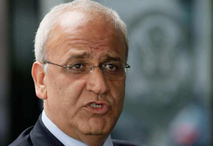 عريقات والصفدي يبحثان تطورات القضية الفلسطينية