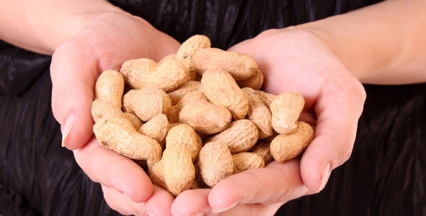 دراسة.. الفول السوداني أحدث وسيلة للحماية من أمراض القلب