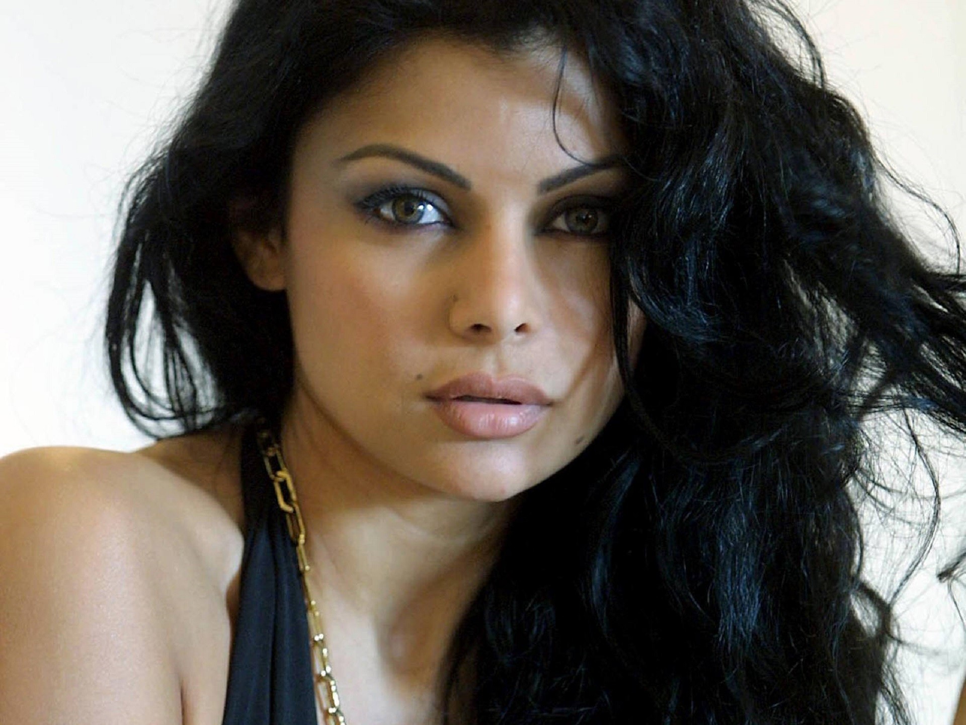 بعد خلافها مع محمّد السبكي.. هيفا في فيلم جديد!