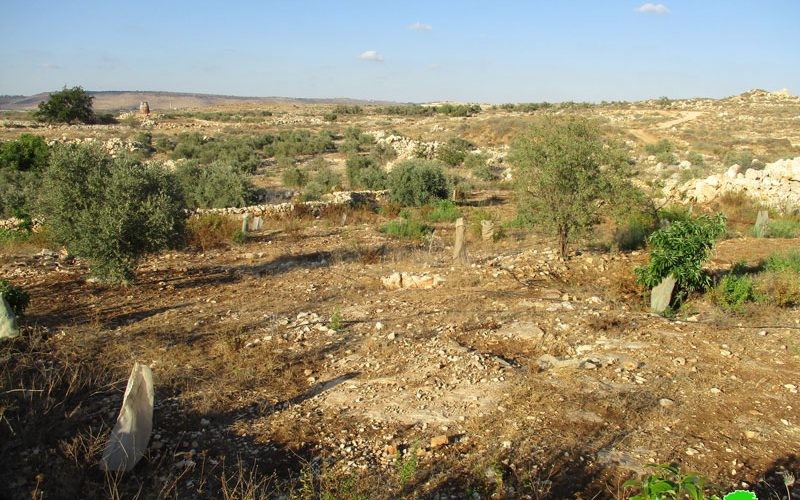 الاحتلال يمنع مزارعي جيوس من دخول أراضيهم الواقعة خلف الجدار