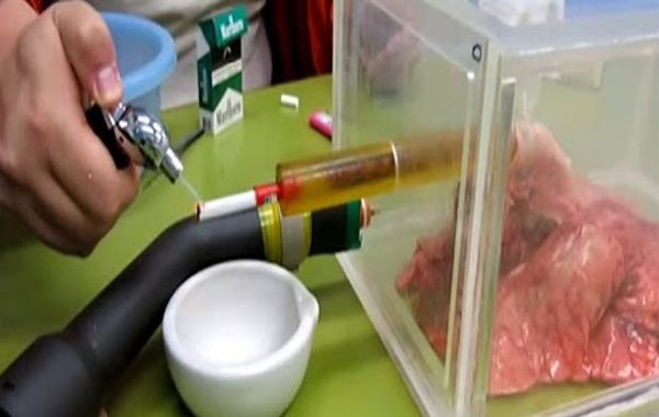 شاهد الفيديو الصادم تأثير تدخين 60 سجارة على رئتيك