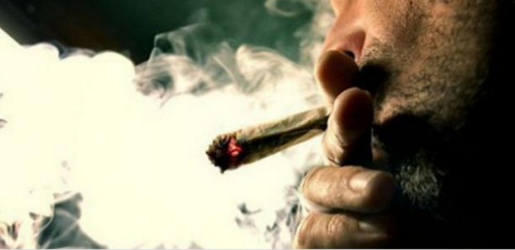 بالفيديو : هل الحشيش حرام ؟