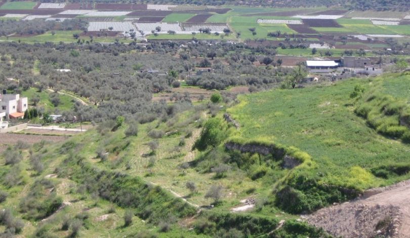 احباط اكبر عملية تسريب عقارات واراضي في القدس ومناطق "جيم"