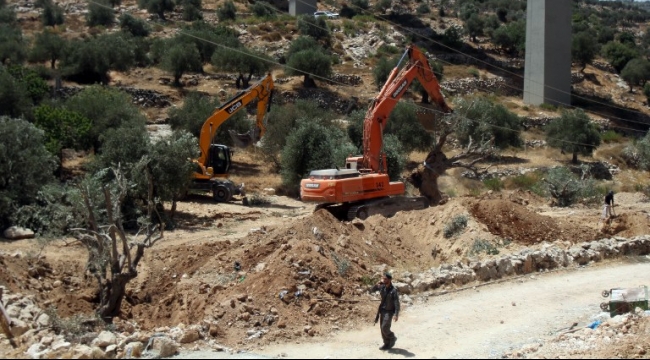 بالفيديو: جرافات الاحتلال تدمر  مئات الدونمات الزراعية في قرية "أم الحيران" بالنقب الفلسطيني