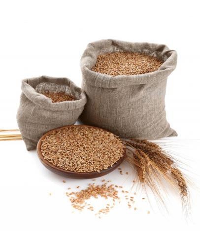 «زكاة الفطر» وقت خروجها ومقدارها