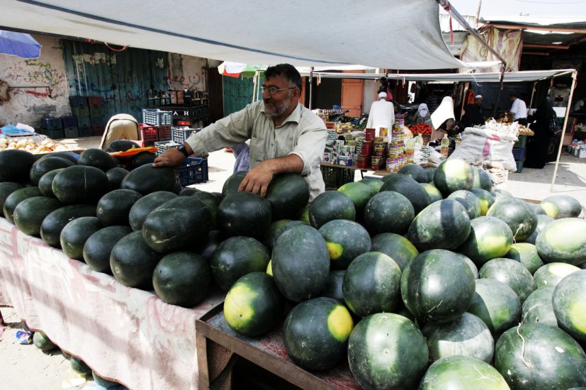 1500 طن من البطيخ لغزة خلال 3 أيام