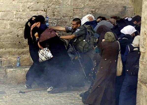 الاعتداء على سيدة بالضرب ببلدة الشيوخ في الخليل