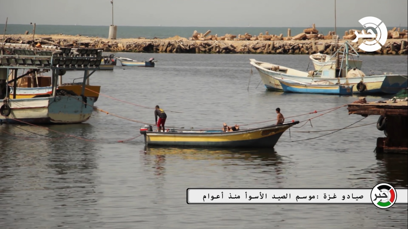 شاهد بالفيديو : صيادو غزة .. "موسم الصيد الأسوأ منذ أعوام "