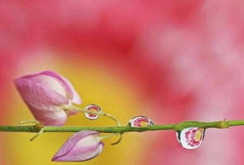 لم يعمل خيراً قط