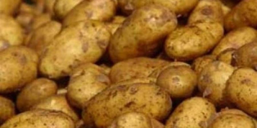 ضبط طنّي بطاطا فاسدة بالخليل