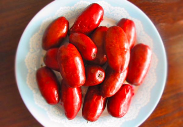 البلح الأحمر وفوائد صحية متعددة