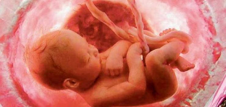 بالفيديو : ما لم تشاهدوه من قبل.. هكذا يأكل ويبكي الجنين