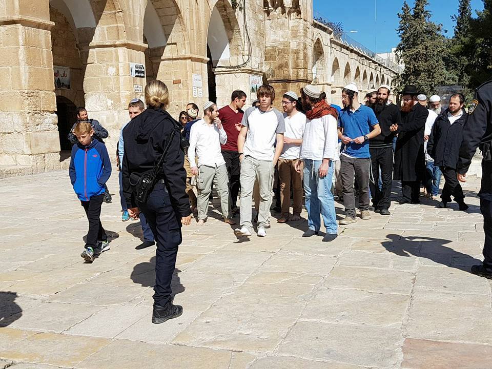 محدث بالصور: 64 مستوطناً يقتحمون المسجد الأقصى وسط حراسة مشددة