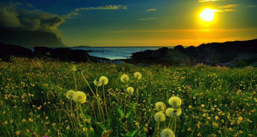 شتاء 2016 الأعلى درجات منذ البدء بتسجيلها ..وحرائق شديدة في صيف 2016