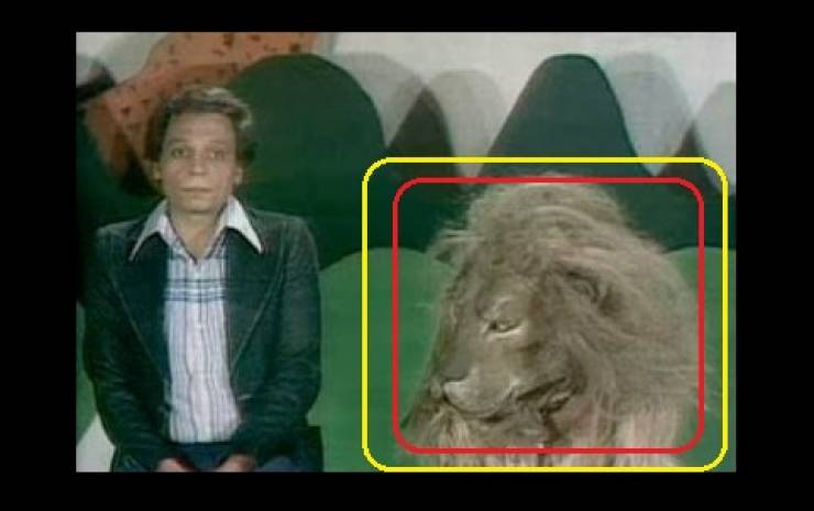 صورة  : من هو الفنان الذي جسد شخصية الأسد في 'شاهد ما شفش حاجة'!