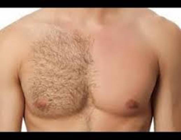 ما الحكمة من ظهور الشعر في جسم الإنسان؟!