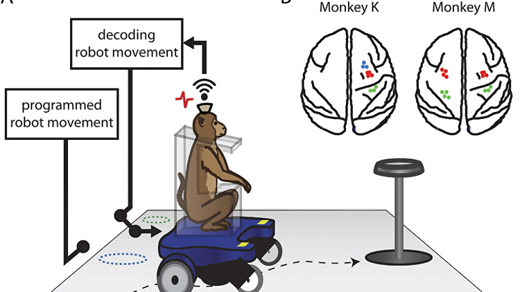ابتكار كرسي متحرك يتم التحكم به عن طريق قوة التفكير