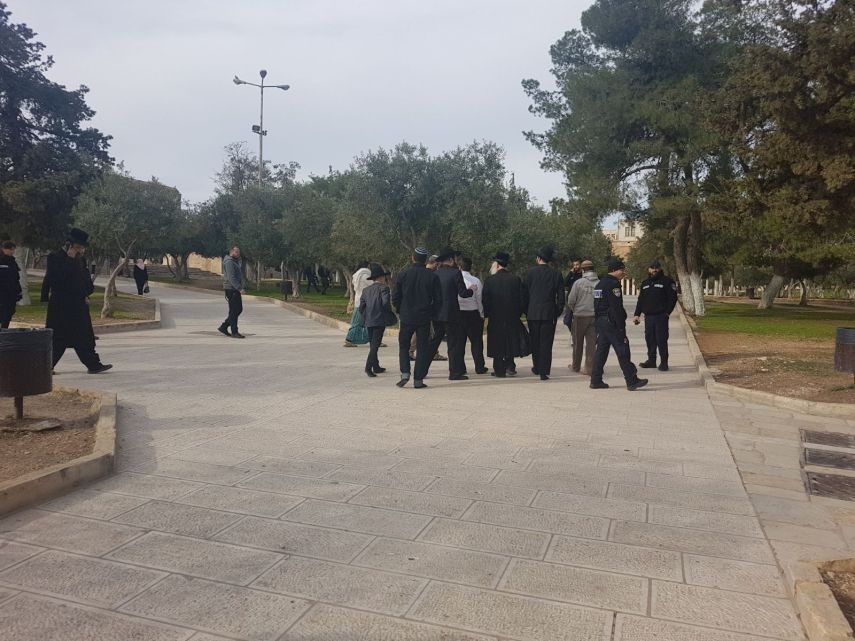 بالصور: مستوطنون يقتحمون المسجد الأقصى ومسيرة استفزازية حول أبوابه