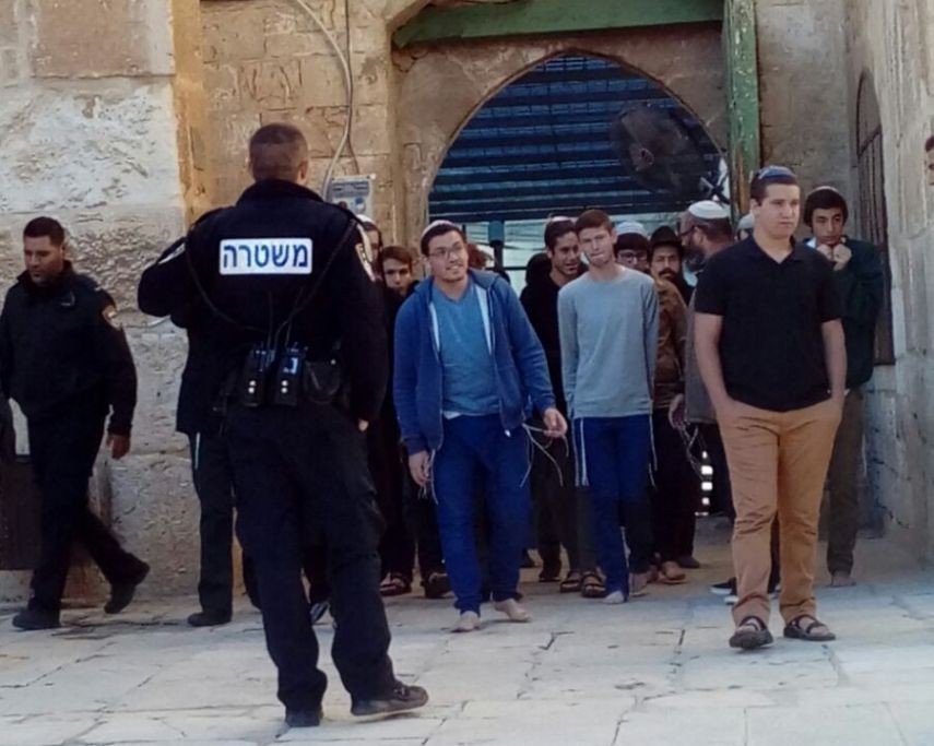 بالصور: 81 مستوطناً متطرفاً يواصلون اقتحامهم المستفز للأقصى