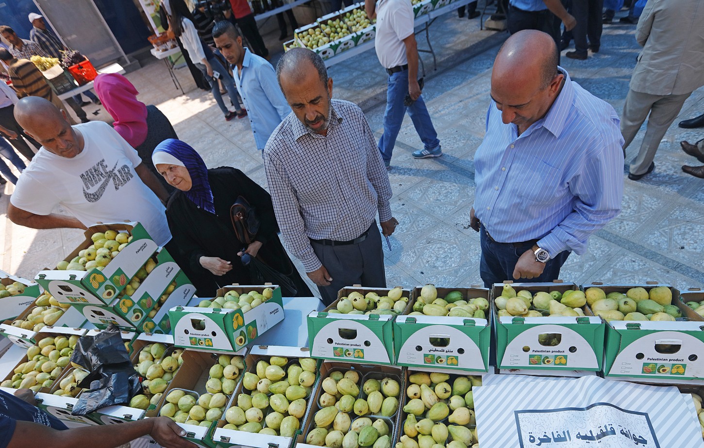 افتتاح مهرجان أيام التسوق لموسم الجوافة في البيرة اليوم