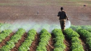 مذكرة تفاهم بين "الزراعة" و"صندوق التشغيل" لدعم ومساندة المزارعين