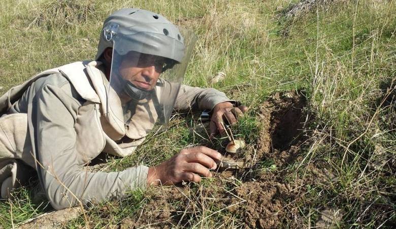 فريق دولي يزيل حقل الغام في جنين بعد 4 أشهر من العمل