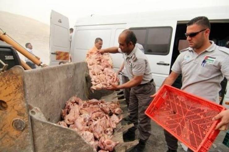 الضابطة الجمركية تضبط 350 كغم لحوماً مهربة بجنين