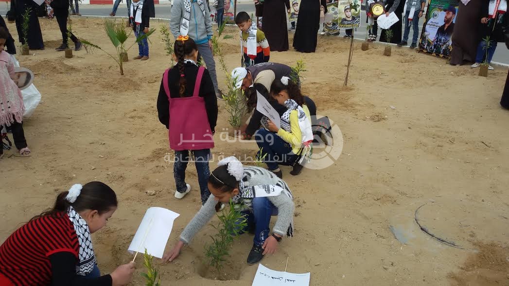 بالصور: بمناسبة يوم الأرض.. زرع 200 شتلة تحمل أسماء شهداء في شوارع غزة