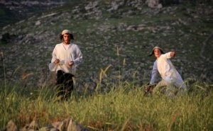 مستوطنون يعدمون مئات أشتال الكرمة جنوب بيت لحم