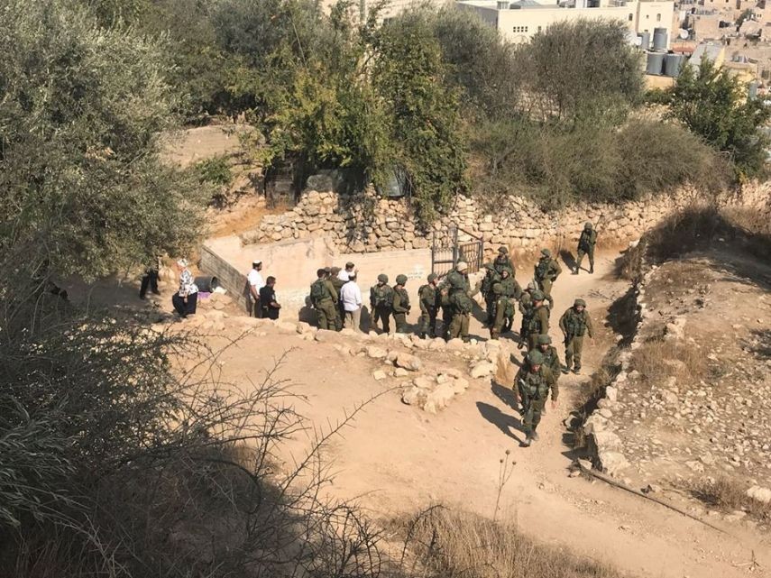 بحثًا عن شاب فلسطيني