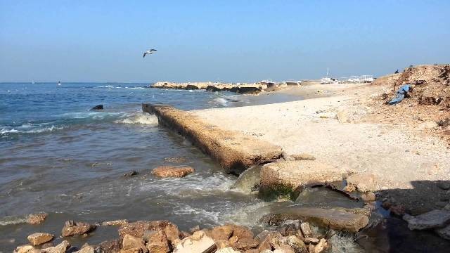 جودة البيئة تعلن عن المناطق المحظور السباحة فها ببحر قطاع غزة