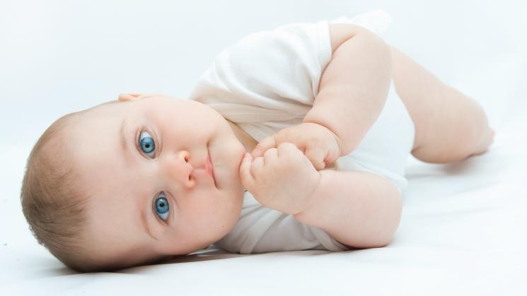 4140 مولودًا خلال فبراير