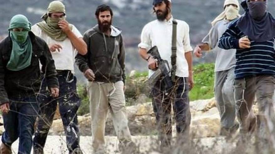 مستوطنون يعتدون على أراضٍ زراعية جنوب جنين