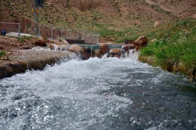 شبكة المنظمات البيئية تصدر دليل المساءلة للأداء البيئي للبلديات