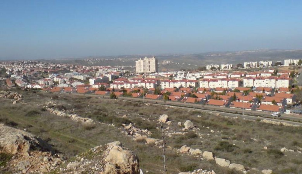 الإعلام العبري: مخطط لزيادة عدد المستوطنين في شمال الضفة إلى مليون