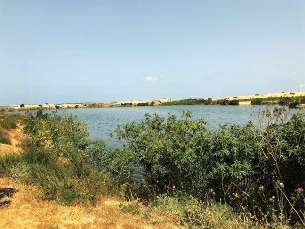 سلطة المياه بغزة تحذر من انهيار أحواض المياه بـ "أم النصر"