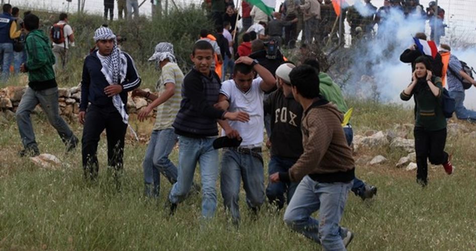 الاحتلال يعتدي على متضامنين أجانب في القدس والمستوطنون يواصلون عربدتهم