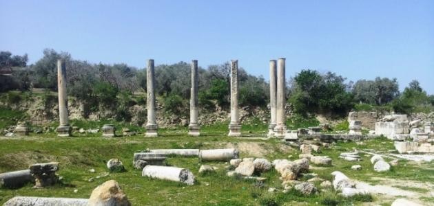 الاحتلال يجري أعمال ترميم بالمنطقة الأثرية في سبسطية