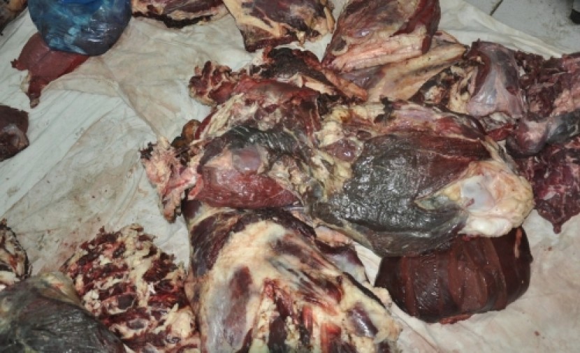 جنين: اتلاف كميات من اللحوم والمواد الغذائية الفاسدة