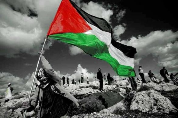 مركز حقوقي: الاحتلال يمارس القتل بدم بارد في غزة