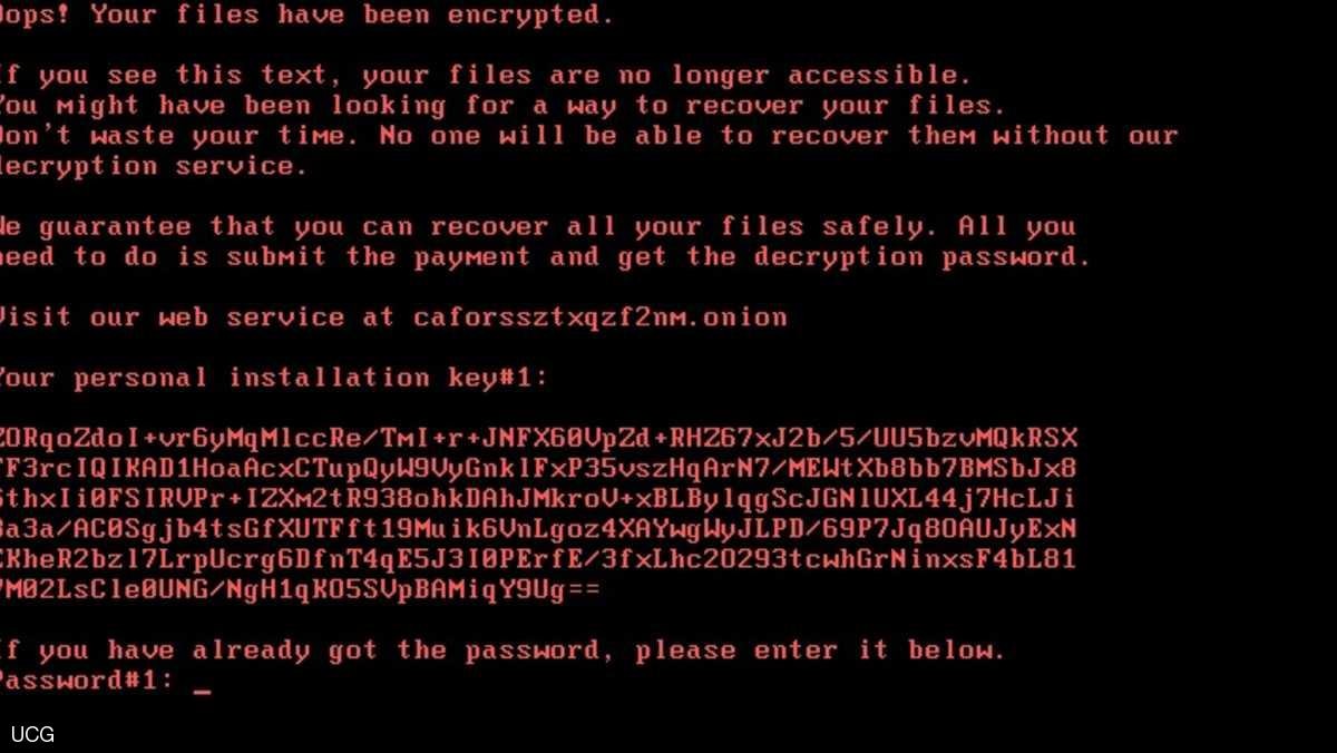"الأرنب السيئ" يجتاح دولا عدة ويطلب فدية