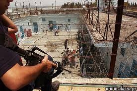 10 أسرى يدخلون أعوامًا جديدة في سجون الاحتلال