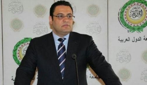 عفيفي يؤكد ثبات الموقف العربي الداعم للقضية الفلسطينية