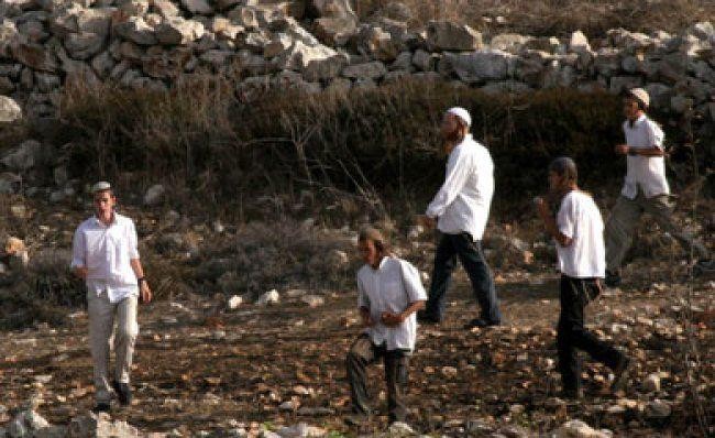 مستوطنون يهاجمون قرية التوانه جنوب الخليل