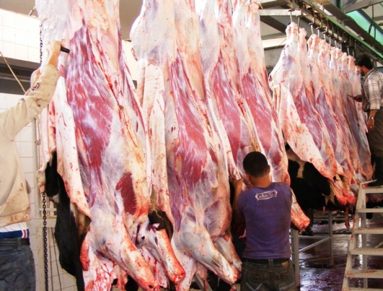 السعودية تدعم غزة بـ"25" ألف ذبيحة من لحوم الهدي والأضاحي