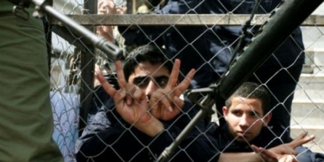 نادي الأسير: الطفل المصري في غيبوبة ووضعه الصّحي خطير