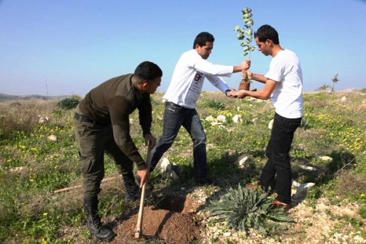 التحضير لبدء حملة "مليون في يوم" لتخضير فلسطين