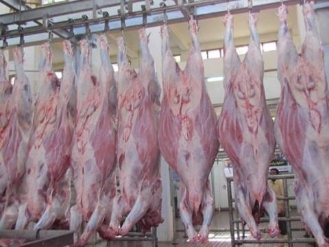 وزارة الاقتصاد تؤكد على سلامة اللحوم البرازيلية